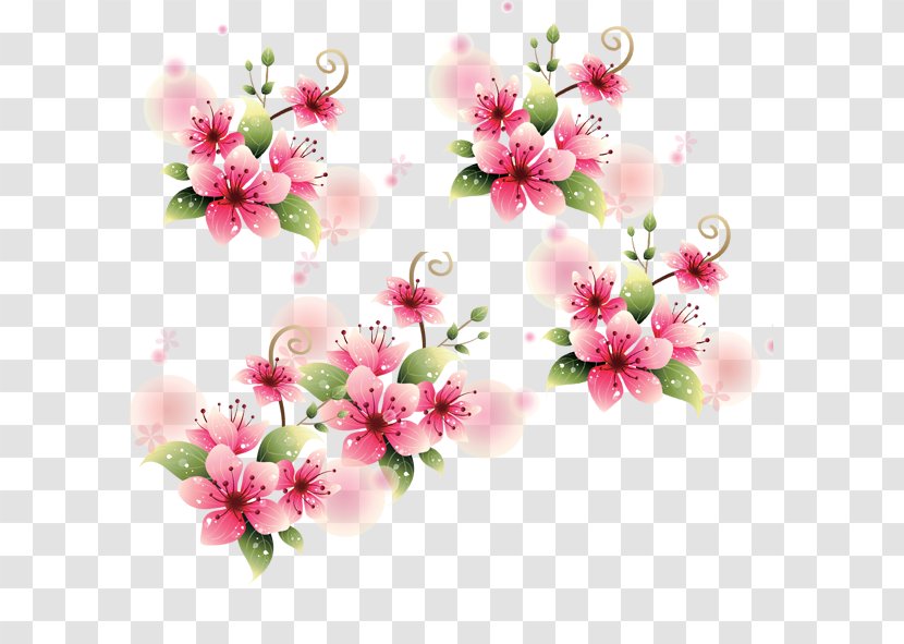 Download - Floristry - Peach Blossom Transparent PNG