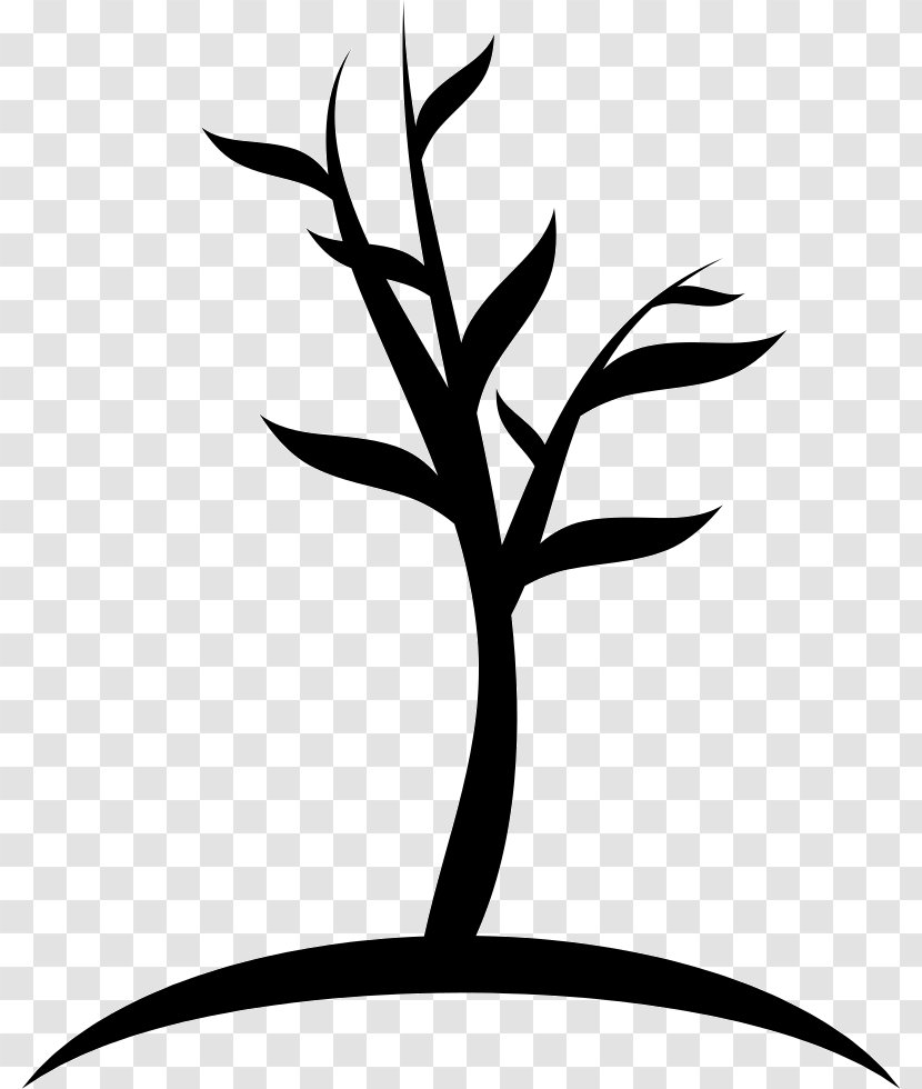 Tree - Woody Plant - Artwork Transparent PNG