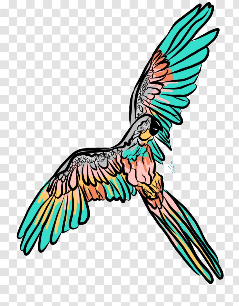 Beak Feather Macaw Art Clip Transparent PNG