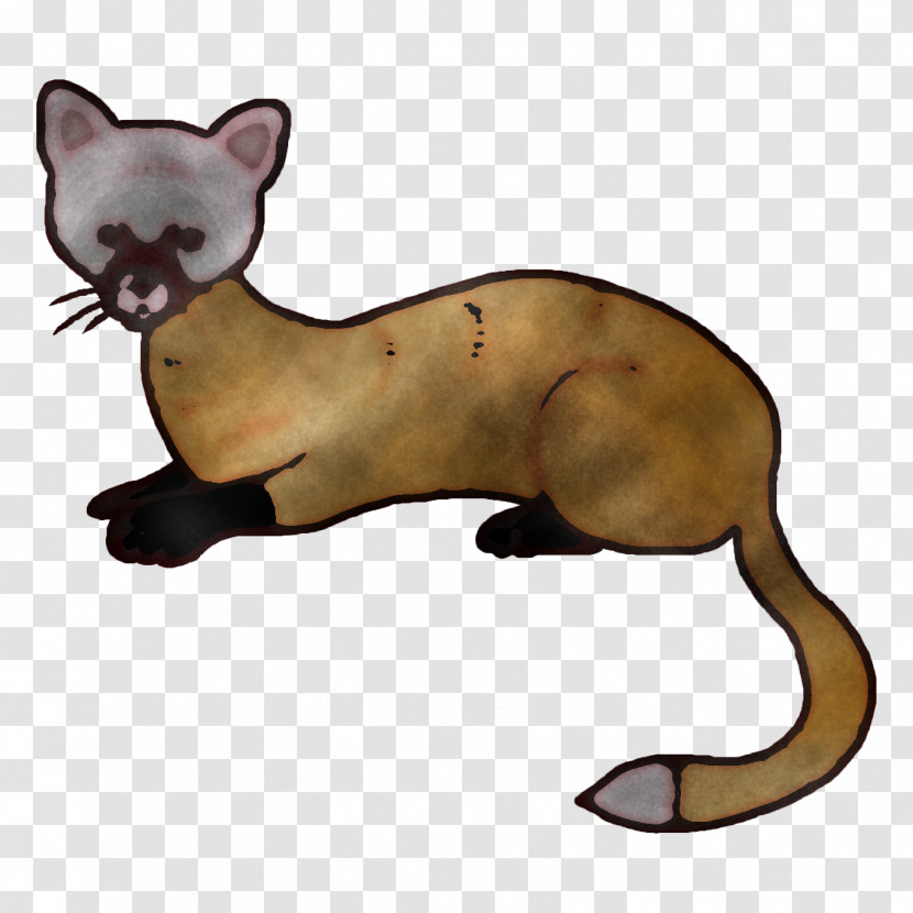 Whiskers Cat Mustelids Puma Transparent PNG