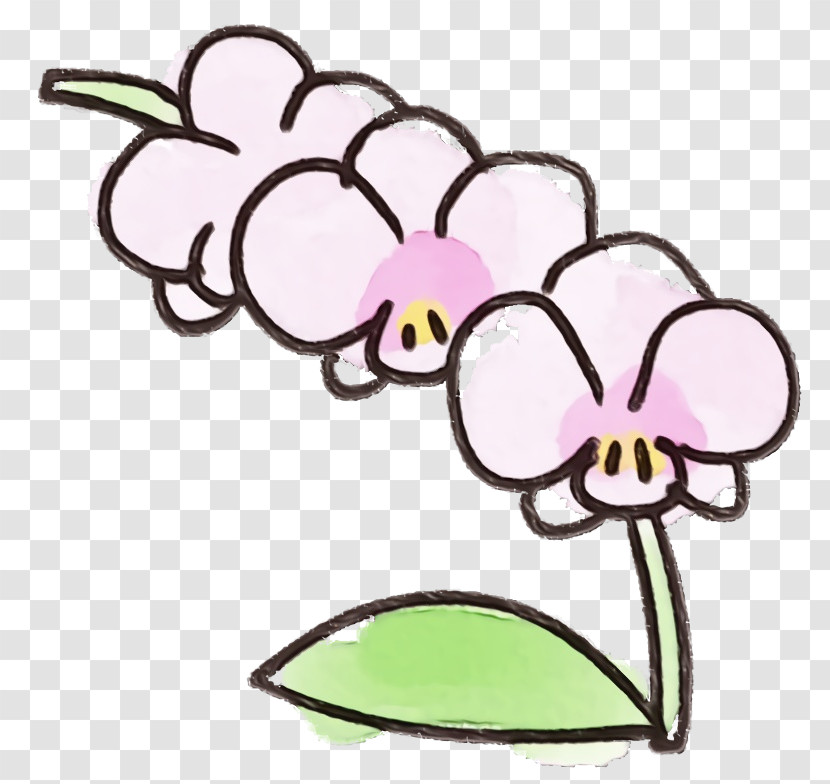 Plant Flower Herbaceous Plant Transparent PNG