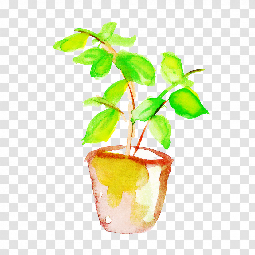 Flowerpot Leaf Houseplant Plant Flower Transparent PNG