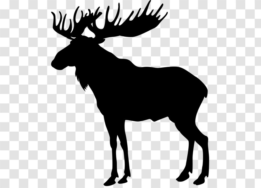 Moose Deer Clip Art - Wildlife Transparent PNG