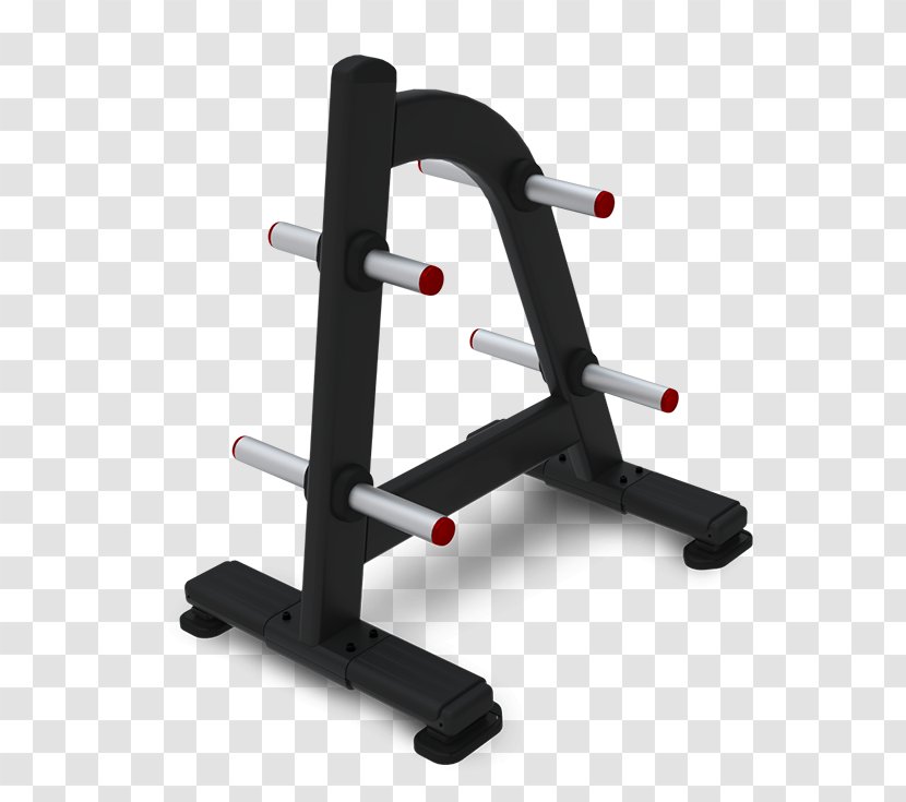 Bench Exercise Equipment Weight Training Strength - Olympic Weightlifting Transparent PNG