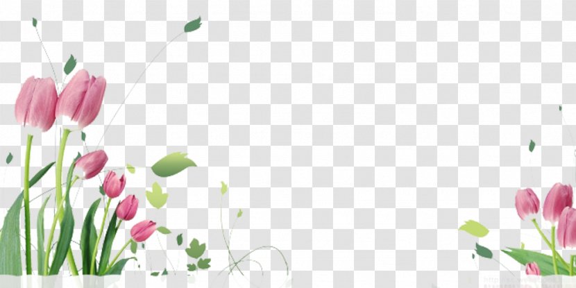 Tulip Flower Stock.xchng Eid Al-Fitr Clip Art - Petal - Tulips Flying Picture Material Transparent PNG