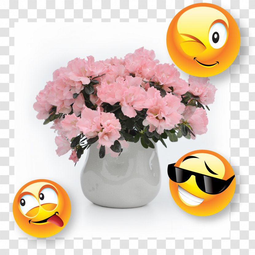 Cut Flowers Smiley Flowerpot Transparent PNG
