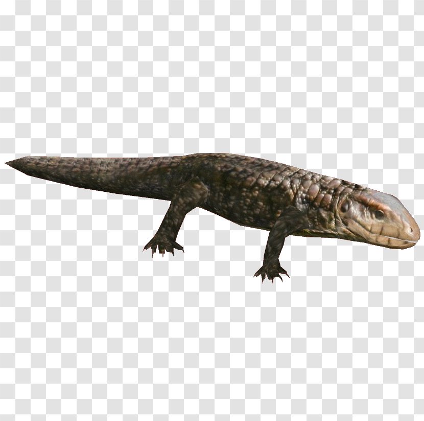 Zoo Tycoon 2 Caiman Lizards Reptile Gecko - Scaled - Lizard Transparent PNG