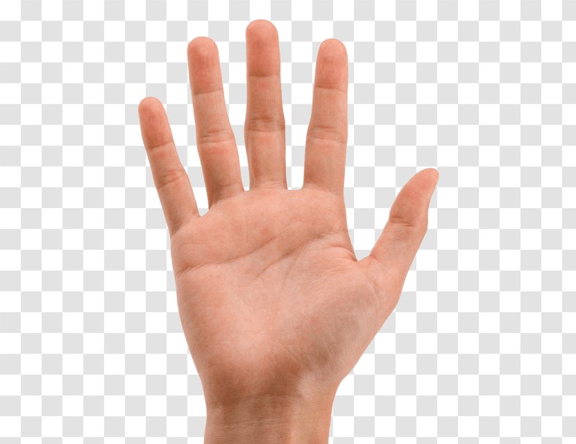 Finger Hand Palm Image Transparent PNG