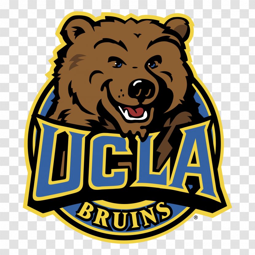 University Of California, Los Angeles UCLA Bruins Men's Basketball Football Cactus Bowl Softball - Carnivoran - 1 UP Transparent PNG