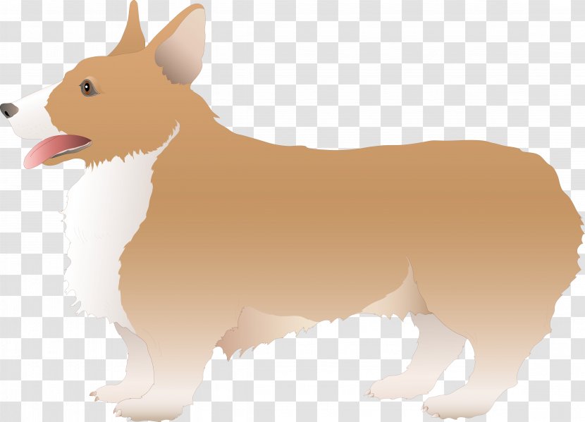 Pembroke Welsh Corgi Canidae Puppy Dog Breed Snout - And Cat Transparent PNG