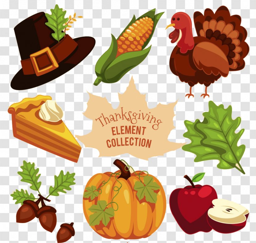 Turkey Thanksgiving - Pumpkin - Decoration Vector Transparent PNG