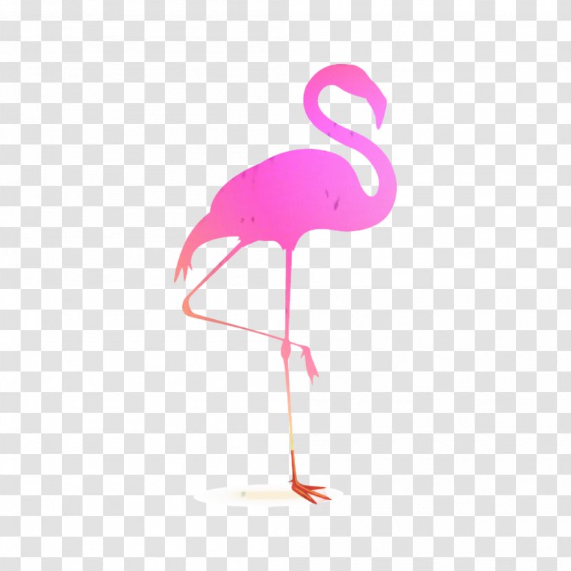 Royalty-free Clip Art Greater Flamingo Bird - Water - Stock Photography Transparent PNG