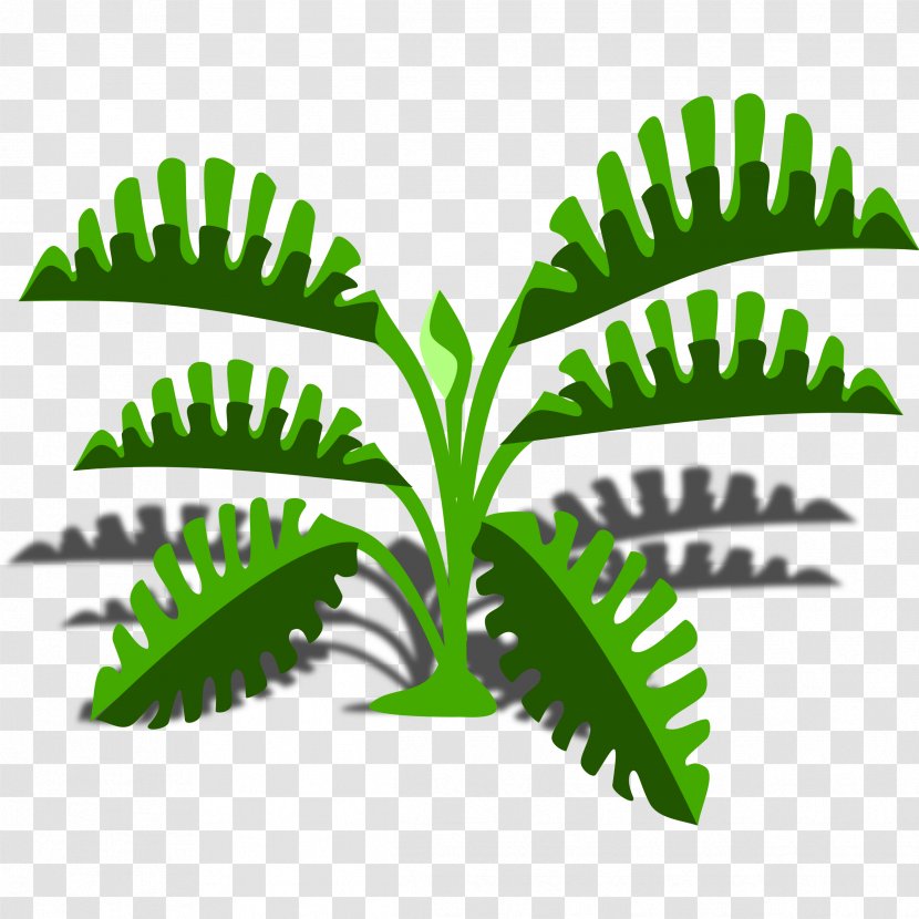 Leaf Philodendron Clip Art - Tree - Creative Zipper Transparent PNG