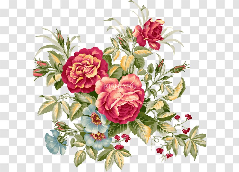 Flower Watercolor Painting Floral Design - Rosa Centifolia Transparent PNG