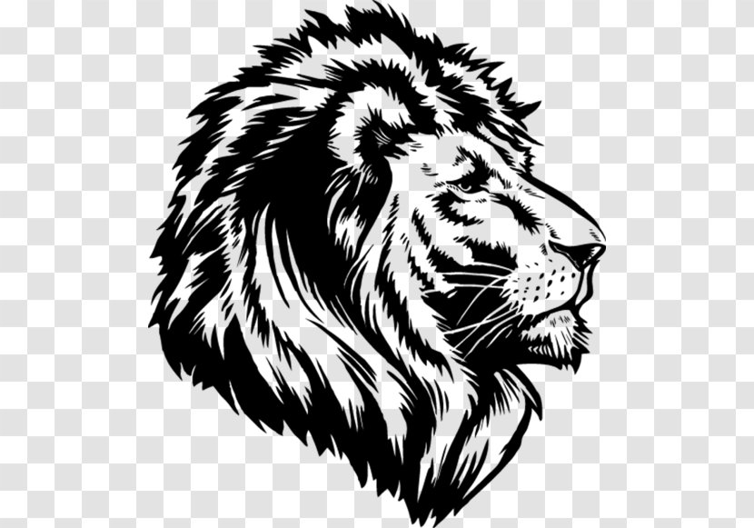 Lion's Roar Drawing Cat - Lion Transparent PNG