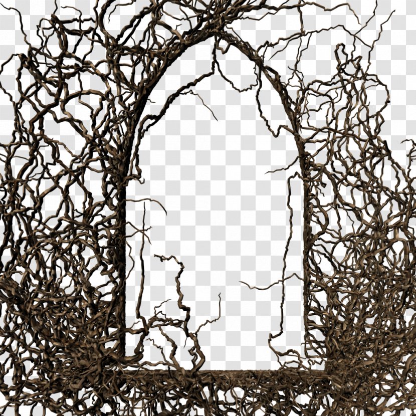 Branch Tree Picture Frame Twig Evergreen - Wood - Door Transparent PNG