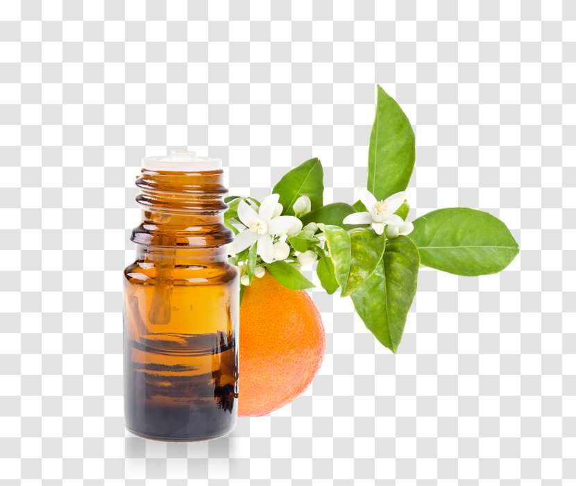 Petitgrain Essential Oil Orange Blossom Herbalism Transparent PNG
