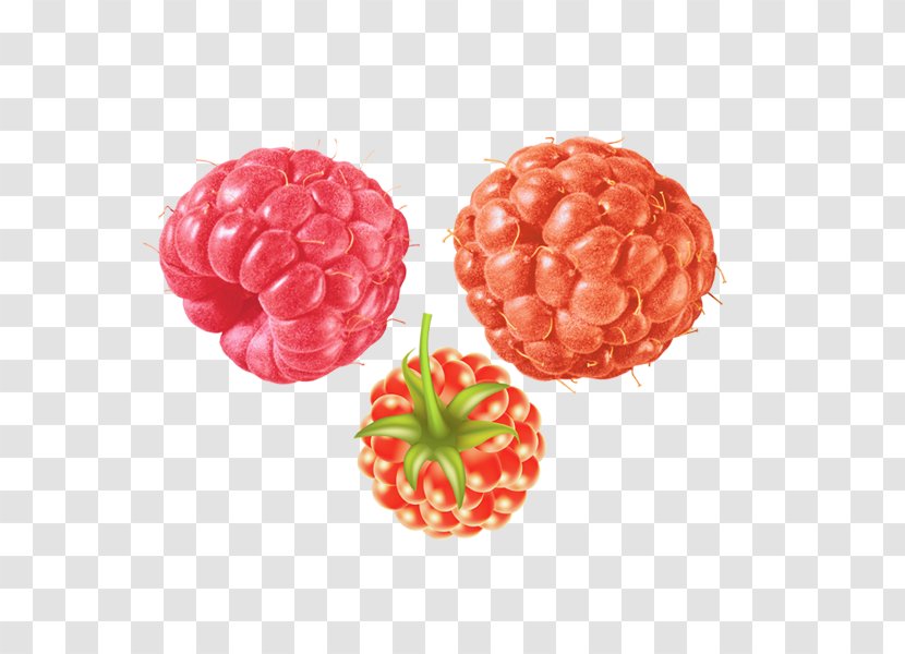 Red Raspberry Frutti Di Bosco Fruit - Peach Transparent PNG