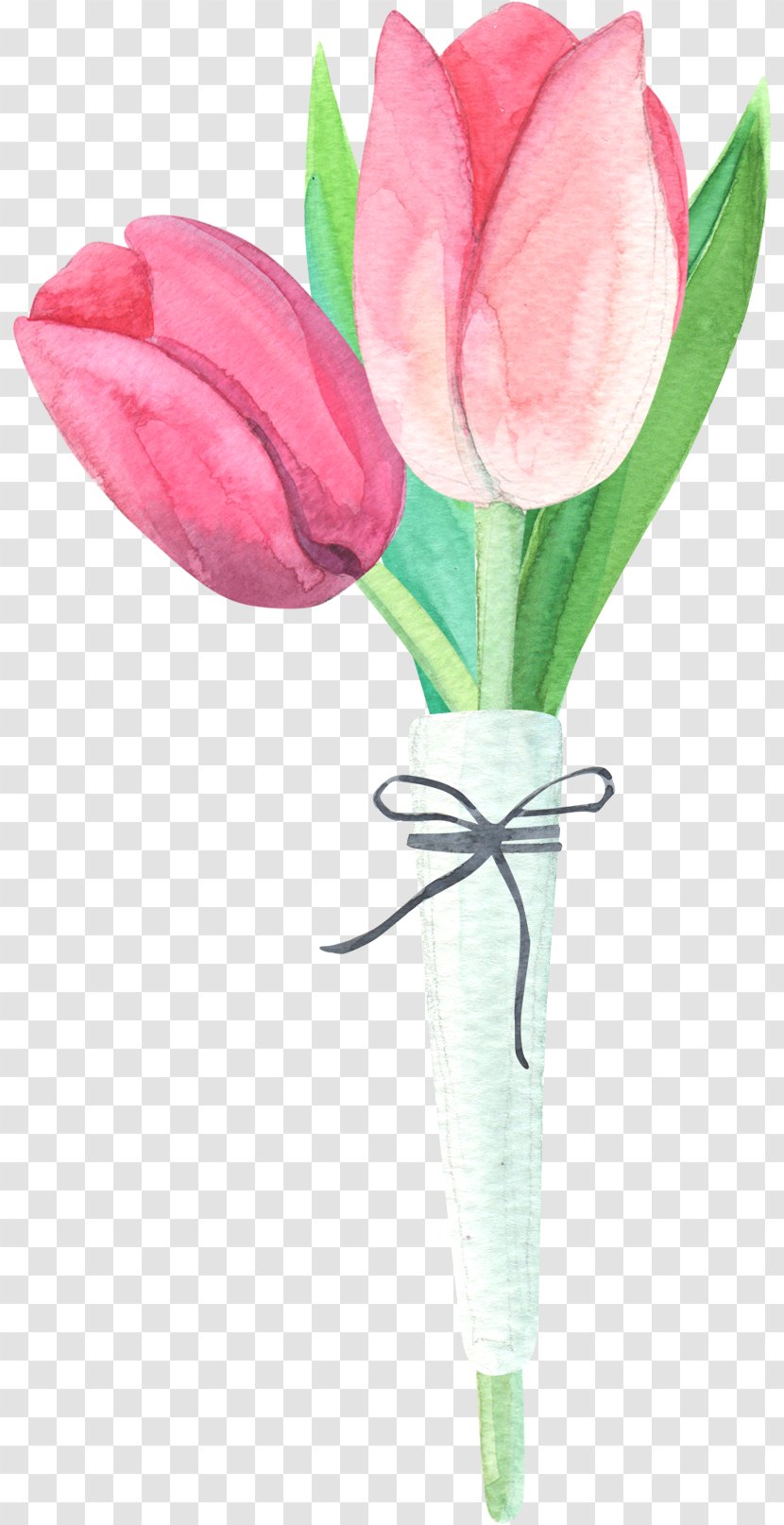 Tulip Drawing Clip Art - Seed Plant - Two Tulips Transparent PNG