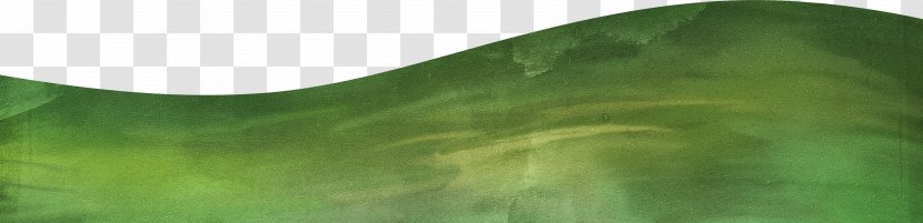 Leaf Green Plant Stem - Mountain Transparent PNG