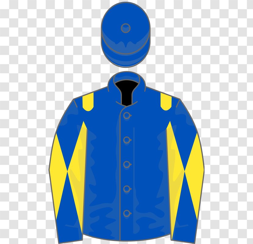 2018 Grand National 1991 1996 Horse Aintree Racecourse - Blue Transparent PNG
