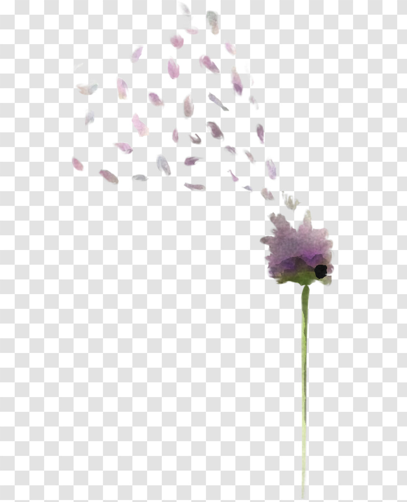 Lavender Transparent PNG