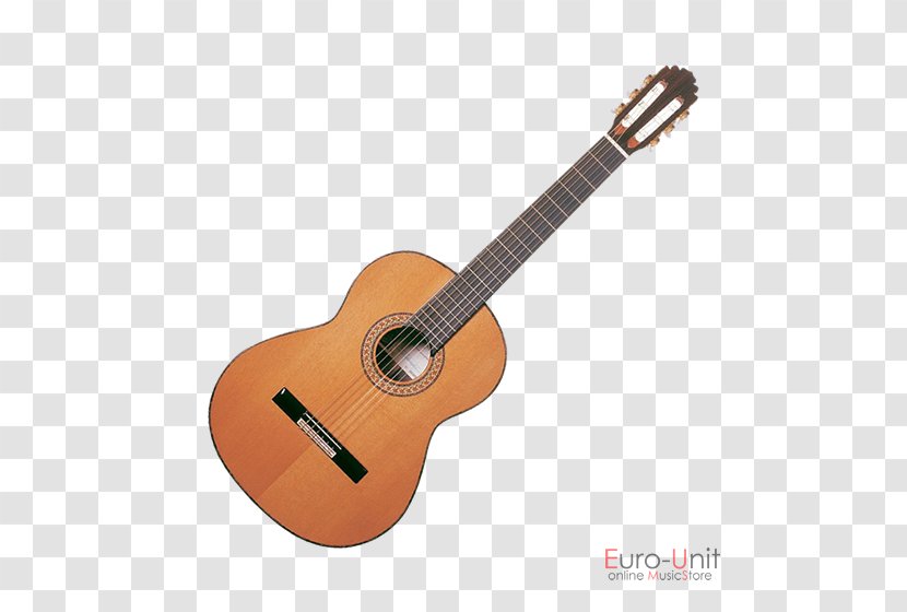 Takamine Guitars Steel-string Acoustic Guitar Acoustic-electric Classical - Silhouette Transparent PNG