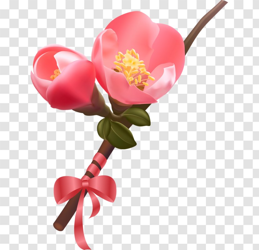 Royalty-free - Stock Photography - Flower Transparent PNG