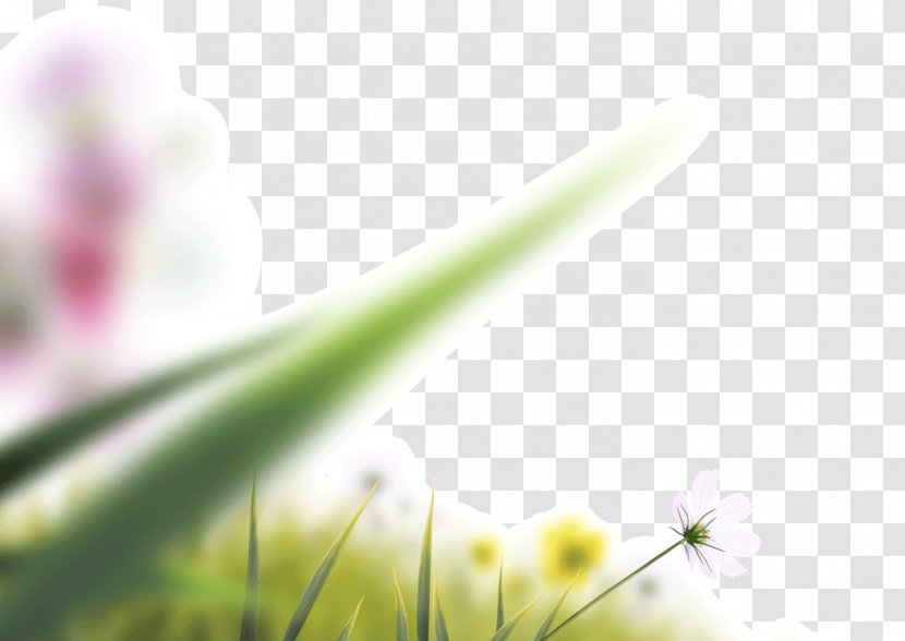 Camera Lens Icon - Plant Stem - Blur Blurred Leaves Blooming Flowers Transparent PNG