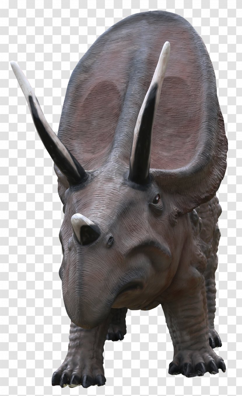 Triceratops Dinosaur - Fauna Transparent PNG