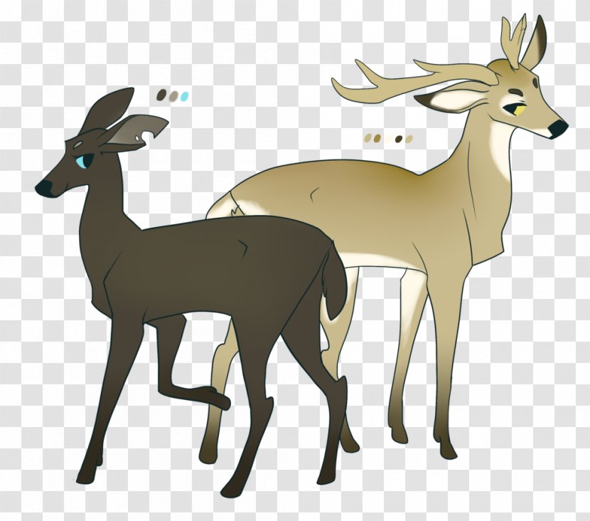Musk Deer Antelope Reindeer White-tailed - Horn - Endeavour Temper 5 Years Transparent PNG