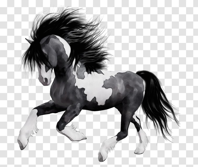Horse Mane Animal Figure Shetland Pony Stallion - Paint - Drawing Mare Transparent PNG