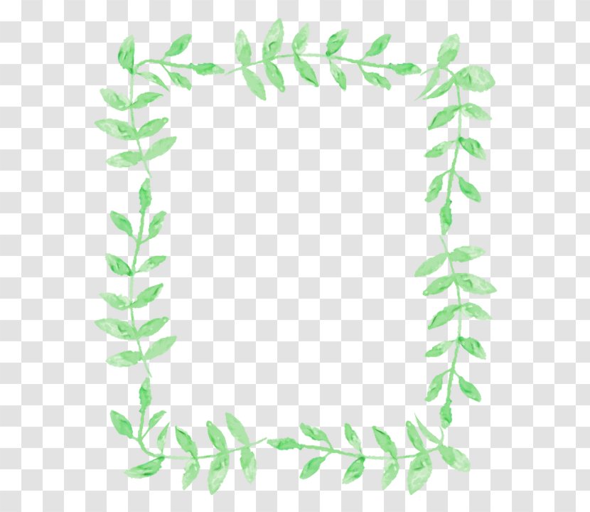 Leaf Green Vascular Plant Font Transparent PNG