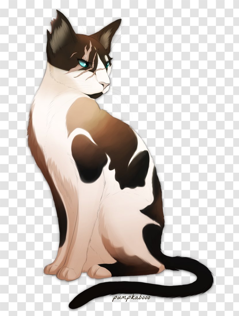 Kitten Whiskers Domestic Short-haired Cat Warriors Siamese - Artist Transparent PNG