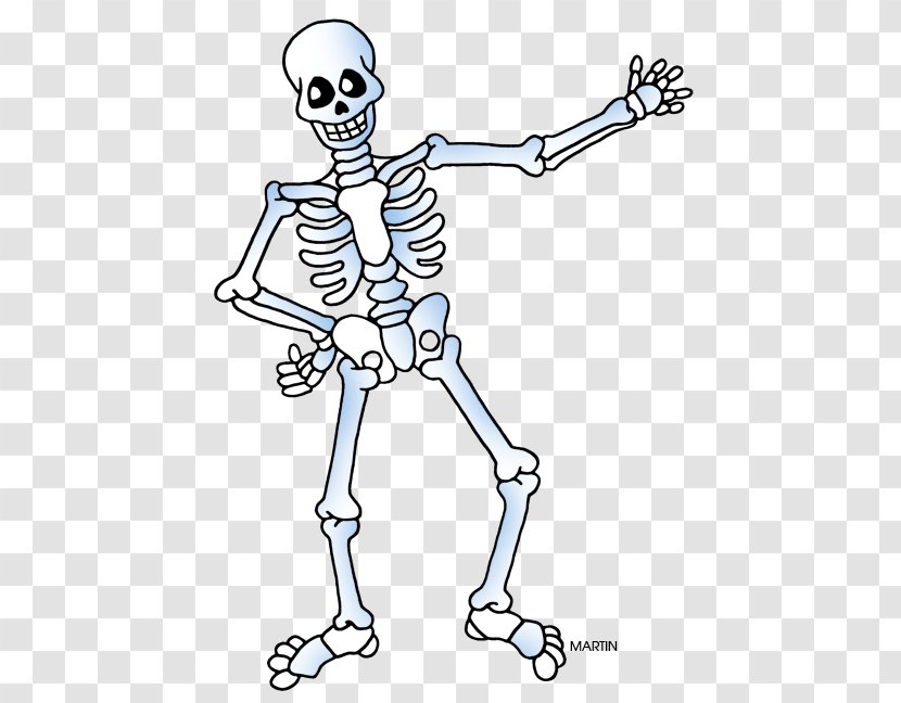 Human Skeleton Clip Art - Frame Transparent PNG