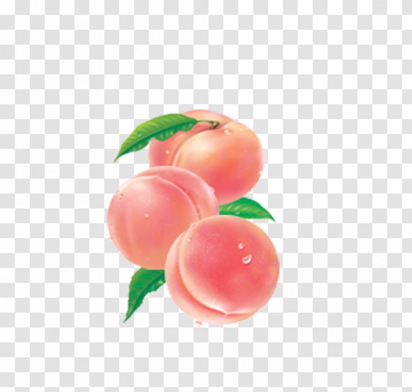 Nectarine Prunus Nigra Fruit Food - Superfood - Peaches Transparent PNG