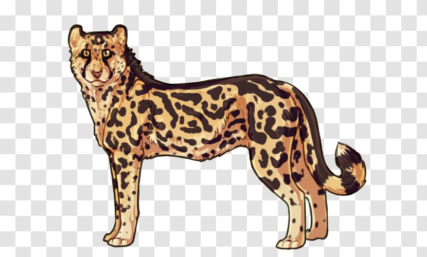 Felidae Cat Northwest African Cheetah Leopard Ocelot - Wildcat Transparent PNG