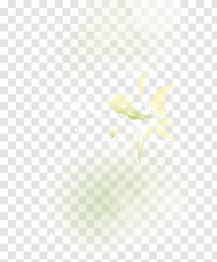 Petal Desktop Wallpaper Leaf Close-up Computer - Plant Transparent PNG