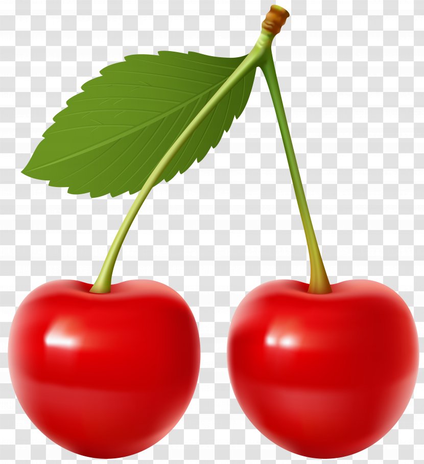 Cherry Pie Fruit Clip Art - Acerola Family - Cherries Transparent Image Transparent PNG