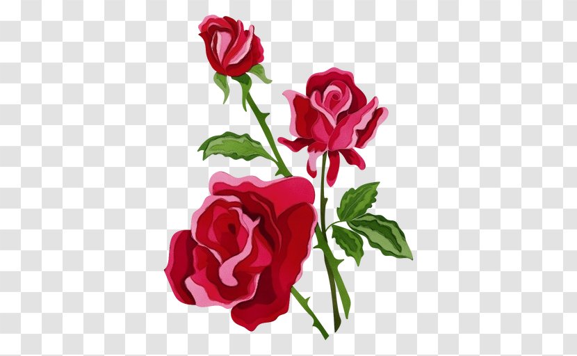Flower Bouquet - Rose Family - Geranium Pedicel Transparent PNG