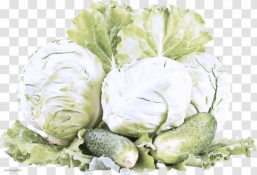 Cauliflower - Cabbage - Lettuce Transparent PNG