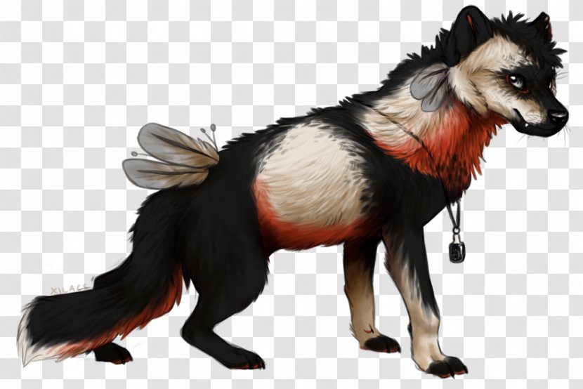 Dog Fauna Fur Snout Wildlife - Fox News Transparent PNG