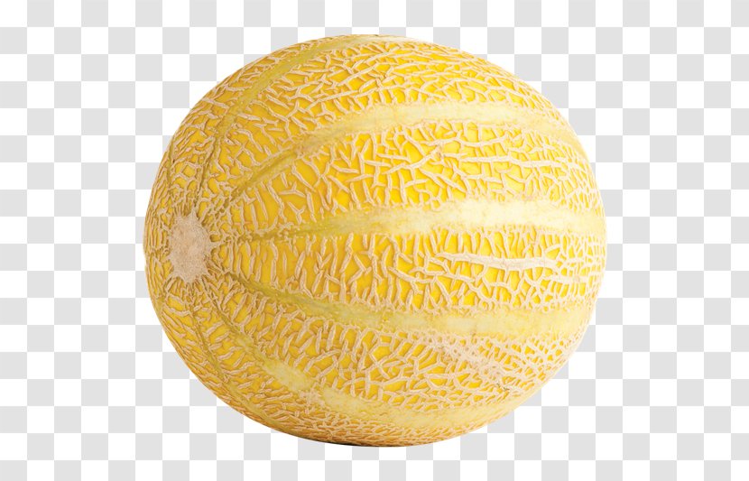 Honeydew Cantaloupe Galia Melon SGI SBC HEDGING TR SF Sphere - Fruit Transparent PNG