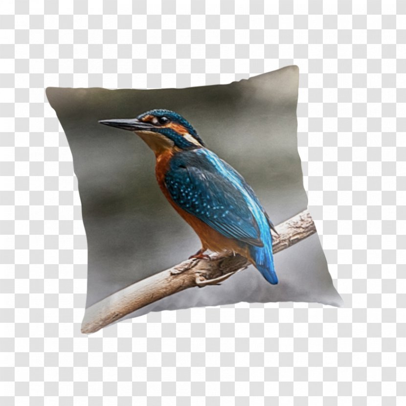 Throw Pillows Beak - Bird - Perch Transparent PNG