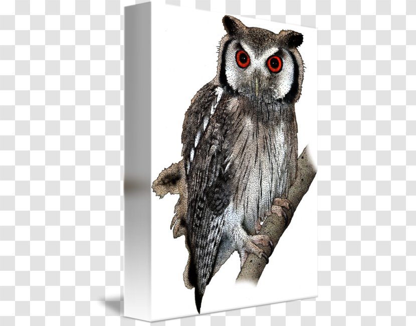 Owl Imagekind Art Poster - Scops Transparent PNG