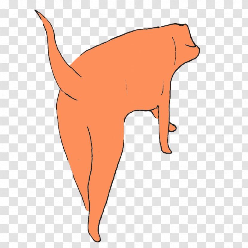 Whiskers Dog Cat Canidae Snout Transparent PNG