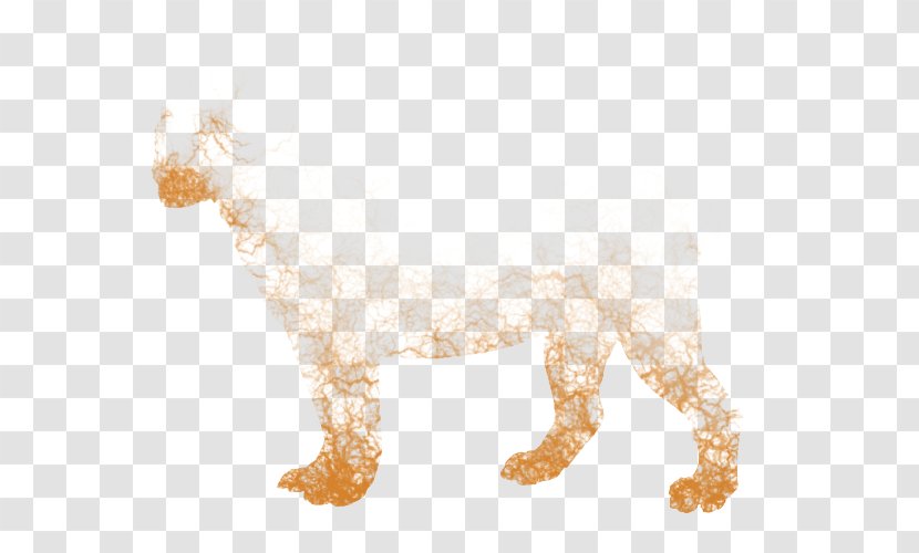 Dog Felidae Lion Cat Leopon - Gold Transparent PNG