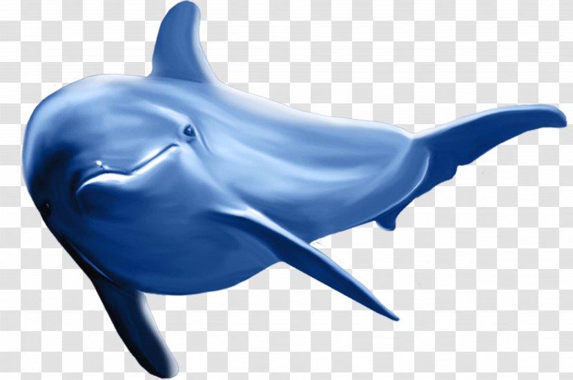 Common Bottlenose Dolphin Striped - Cobalt Blue - Pattern Transparent PNG