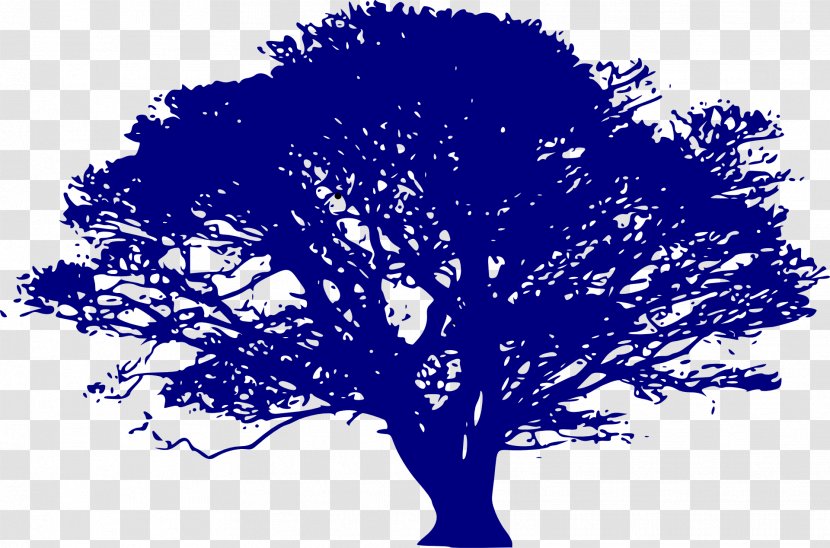 Tree Silhouette Clip Art - Organism - Natural Environment Transparent PNG