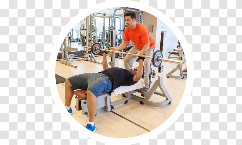 Fitness Centre Physical Exercise Sport - Weightlifting Machine - Sports Personal Transparent PNG